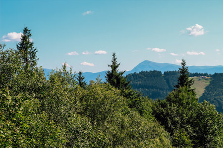 A vibrant landscape shows thick green trees leading to distant mountains against a sunny sky. Natures beauty captivates the scenery.の写真素材