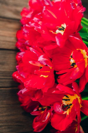 Vibrant red tulips are arranged closely on a weathered wooden surface showcasing their delicate petals and rich color under soft daylight.の写真素材