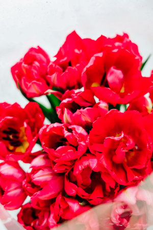 A joyful bouquet of bright red flowers is artistically arranged perfect for gifting on a happy occasion.の写真素材