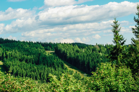 Vibrant green trees fill the rolling hills under a clear blue sky with scattered clouds creating a peaceful atmosphere in nature.の写真素材