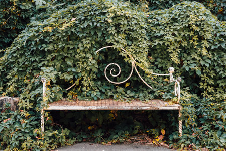 A rustic bench is partially hidden by dense green foliage creating a serene spot in a peaceful garden during daytime.の写真素材