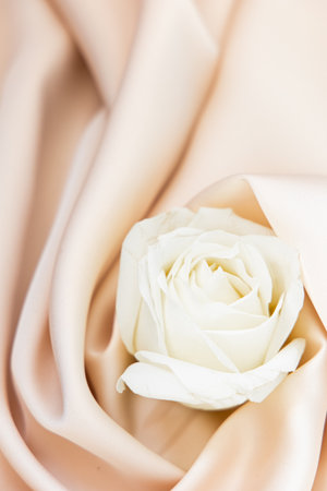 A soft white rose gently placed on elegant peach fabric creates a tranquil and serene atmosphere perfect for special occasions.の写真素材