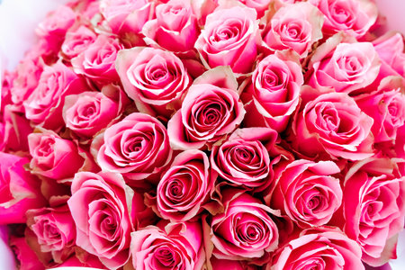 This arrangement features numerous pink roses perfectly grouped to create a stunning display ideal for celebrations and gifts.の写真素材