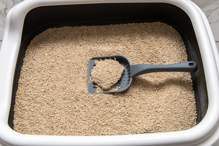 Cat litter box filled with clean sandy cat litter ready for use, clumps and absorbs moisture for easy cleaning.の写真素材