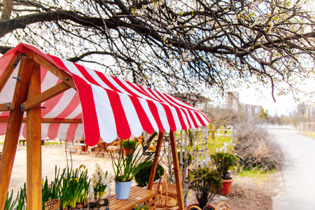 Flower stand displays vibrant plants and flowers beneath a red and white striped canopy.の写真素材