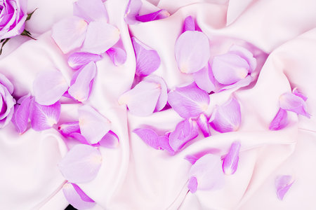 Delicate pink rose petals are arranged on smooth white fabric enhancing the serenity of a romantic setting perfect for celebrations.の写真素材
