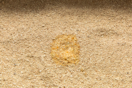 Soybean tofu bentonite filler grains and textures, absorbs moisture during bright daylight.の写真素材