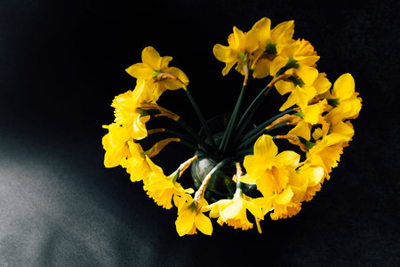 A bouquet of vibrant yellow daffodils is elegantly arranged in a circular formation contrasting...