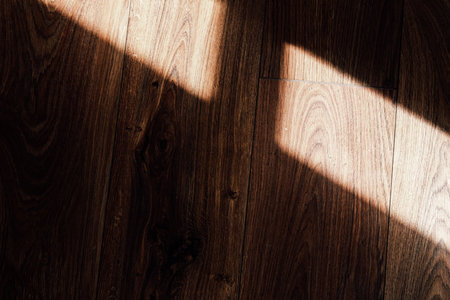 Sunlight casts shadows on a rich wooden floor highlighting natural textures and reflecting a calm ambiance in a cozy room.の写真素材