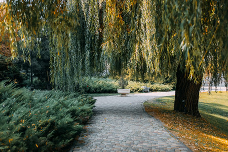 A winding pathway leads through vibrant greenery and willow trees in a tranquil park during autumn....