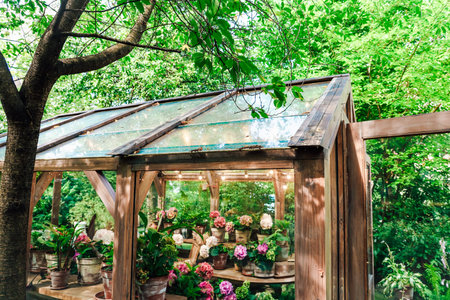 A charming wooden greenhouse displays a variety of colorful flowers in pots set against a backdrop of dense green foliage.