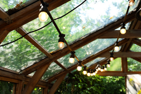 Basking in sunlight string lights hang from a wooden structure enhancing the warm ambiance of the...