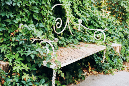 A rustic metallic bench is partially hidden by vibrant green ivy creating a peaceful atmosphere in...
