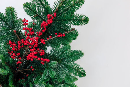 Bright red berries sit amidst lush green pine branches creating a festive decoration perfect for...