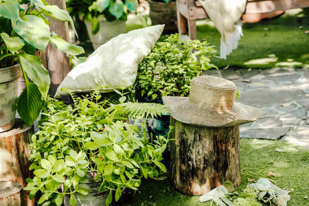 A cozy garden area features vibrant green plants a straw hat resting on a wooden stump and soft pillows. Sunlight filters through creating a tranquil atmosphere perfect for relaxation.の写真素材