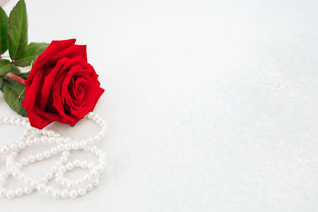 A single deep red rose lies gracefully beside a string of white pearls on a light surface. This beautiful arrangement creates a romantic and elegant atmosphere perfect for special occasions.の写真素材