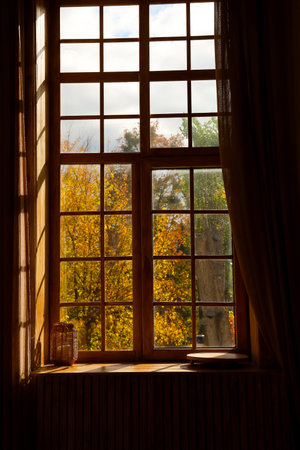 Sunlight streams through a large window illuminated by golden autumn leaves outside. The warm hues...