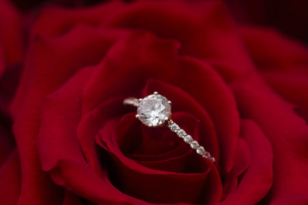 A stunning diamond ring sits gracefully on a vibrant red rose petal. The intricate design and...