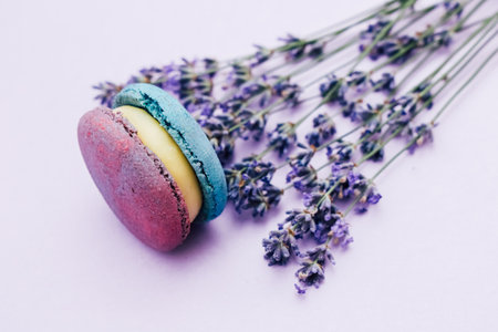 Two vibrant macarons in purple and turquoise sit alongside fresh lavender flowers on a soft pastel background. This scene evokes a sense of calm and sweetness perfect for a cozy moment.の写真素材