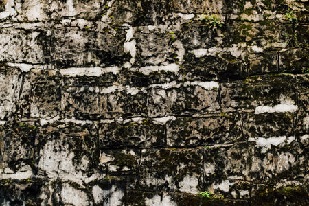 The weathered stone wall displays various textures with patches of moss and lichen enhancing its rustic appearance.の写真素材