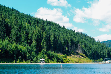A calm lake reflects the bright blue sky and fluffy clouds while tall green trees line the shore. A...