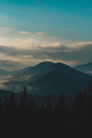 Misty mountains rise softly against the twilight sky with dark silhouettes of trees in the foreground. Clouds blend harmoniously creating a serene atmosphere in nature.の写真素材