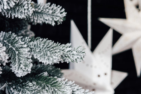 Frosted tree branches are adorned with delicate white paper stars creating a festive atmosphere. The scene captures a peaceful winter decoration perfect for holiday celebrations and gatherings.の写真素材