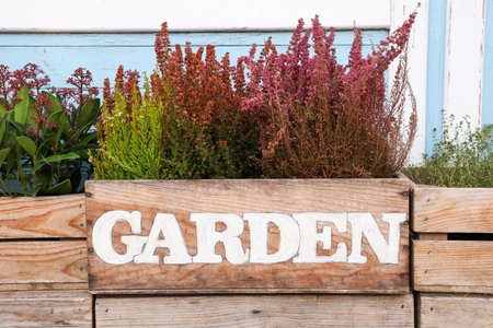 Brightly colored flowers and plants are arranged in a rustic wooden garden box with the inscription Gardenの写真素材