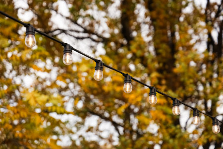 String lights hang gracefully above casting a warm glow in a serene outdoor area surrounded by...