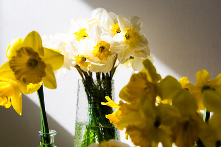A vibrant bouquet of yellow and white daffodils is placed in a clear glass vase. Sunlight streams in highlighting the delicate petals and creating a warm atmosphere in the cozy room.の写真素材