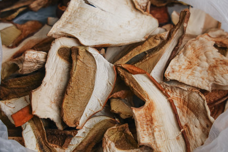 Various types of dried mushroom pieces are neatly arranged in a white bag. These mushrooms appear well preserved showcasing their natural colors and textures ideal for cooking.の写真素材