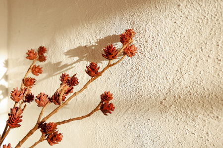 A branch adorned with unique pinecone like flowers leans against a wall illuminated by soft...