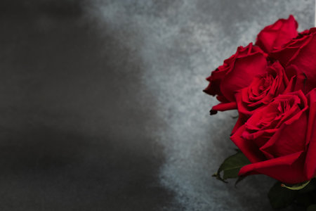 A group of red roses arranged against a dark background. The focus is on the delicate petals and green leaves. Sunlight highlights the textures and colors of the flowers.の写真素材
