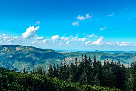 This scenic landscape showcases rolling hills covered in vibrant green trees under a bright blue sky dotted with fluffy clouds. The peaceful atmosphere invites exploration and adventure.の写真素材