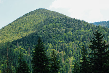 Two mountains stand side by side covered with dense trees and greenery. Bright daylight shines on...