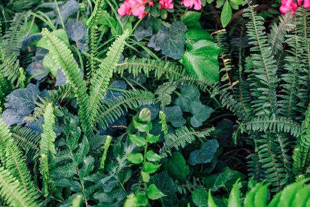 Different types of green plants create a lush scene in a garden during daytime. Some pink flowers are visible among the greenery adding color to the natural setting.の写真素材