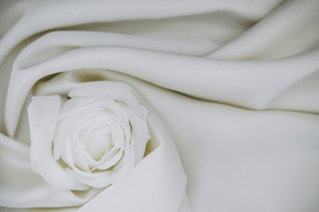 A white rose rests gently on soft flowing fabric that displays smooth folds captured in a well lit space during daytime. The flower is centered and stands out against the background.の写真素材