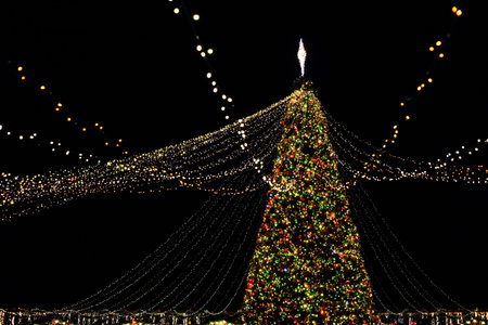 A large Christmas tree stands tall in a city, surrounded by bright lights and decorations. People visit to enjoy the festive display during the holiday season at night.