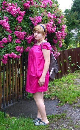 a pink bush in gateの写真素材