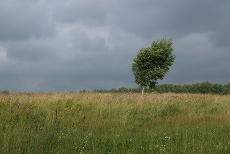 Bittsevsky park, park in Moscowの写真素材