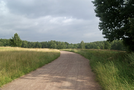 Bittsevsky park, park in Moscowの写真素材