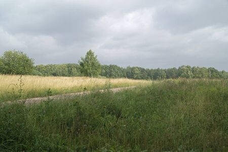 Bittsevsky park, park in Moscowの写真素材