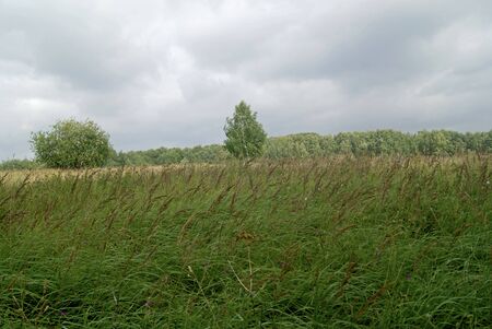 Bittsevsky park, park in Moscowの写真素材