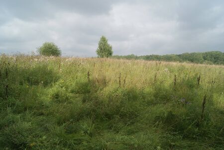 Bittsevsky park, park in Moscowの写真素材