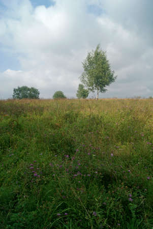 Bittsevsky park, park in Moscowの写真素材
