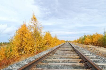 Track in the autumn. Siberia, Russiaのeditorial素材