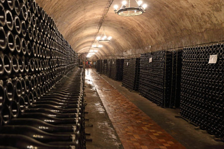 Bottles with wine are stored in the cellar