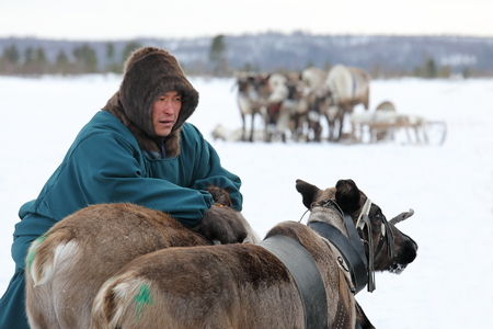 NADYM, RUSSIA  MARCH 04, 2018: Nenets man during the traditional holiday of the reindeer breeder Day. Nenets  aboriginals of the Russian Northのeditorial素材
