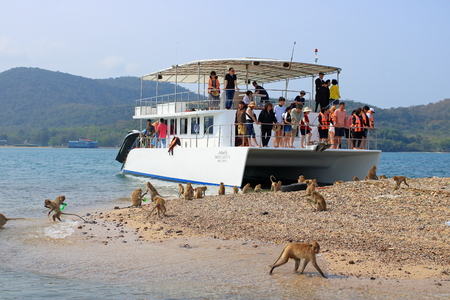 PATTAYA, THAILAND-MARCH 19, 2019: Tourists on the ship communicate with a group of monkeys crabbers on the islandのeditorial素材