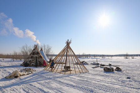 Nadym, RUSSIA-MARCH 11, 2021: Native inhabitants of northern Siberia Nenets reindeer herders collect traditional dwellingsのeditorial素材